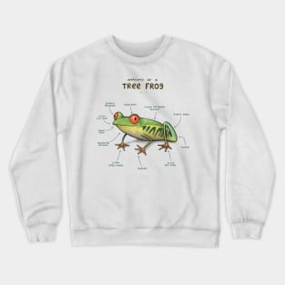 Anatomy of a Tree Frog Crewneck Sweatshirt